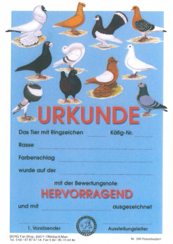 Käfigurkunden "Hv" Rassetauben 10 Stück