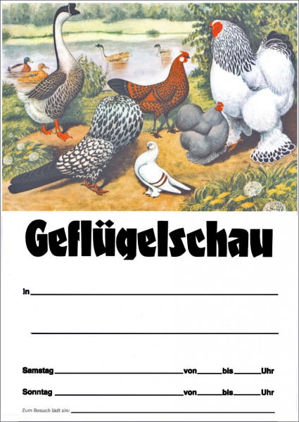 Geflügelplakat mit Vordruck A2