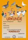 Käfigurkunden "v" Geflügel 10 Stück