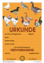 Käfigurkunden "hv" Geflügel 10 Stück