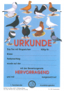 Käfigurkunden "Hv" Rassetauben 10 Stück