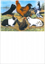 Kleintierzuchtplakat neutral A2